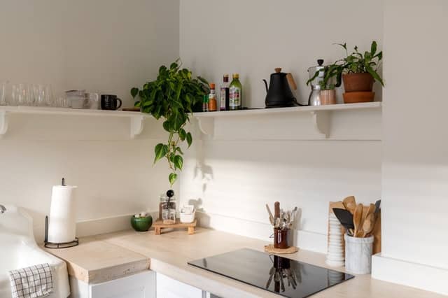 corner of kitchen with shelf and plants