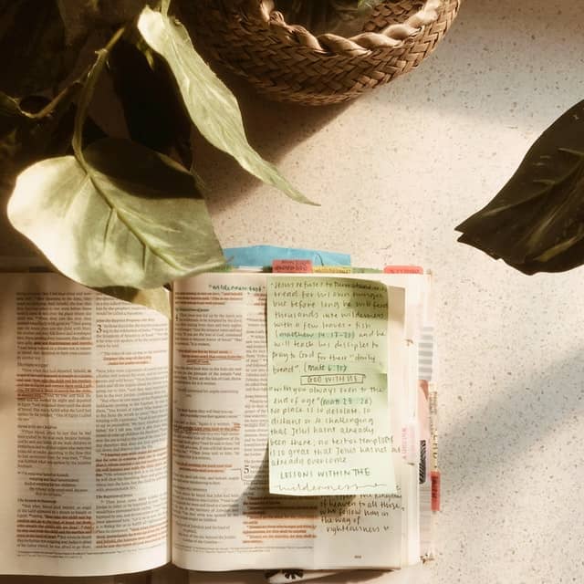 open bible on table with plant with notes and highlights 