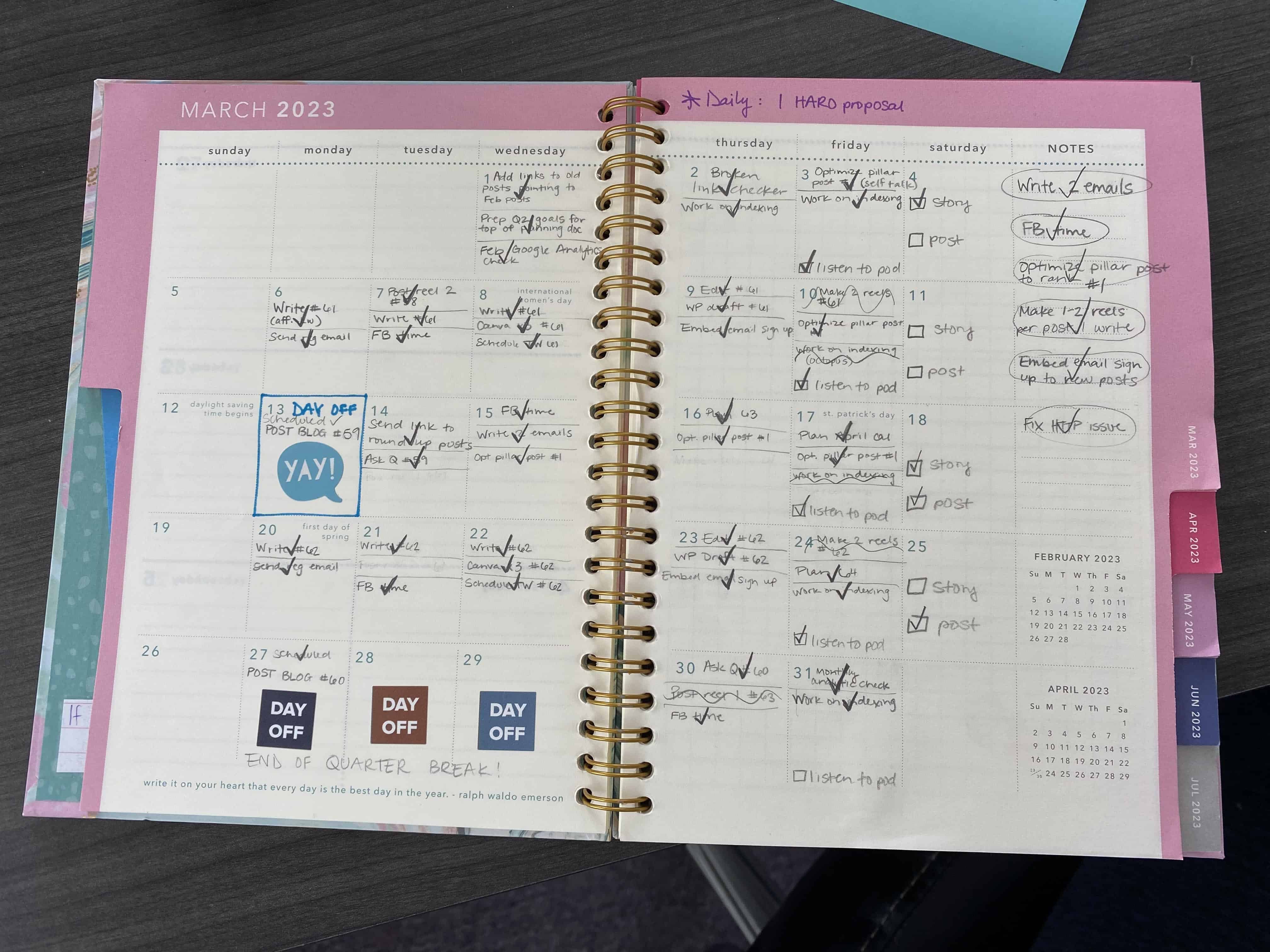Skye Sauchelli's calendar planner with daily tasks scheduled to help accomplish a goal