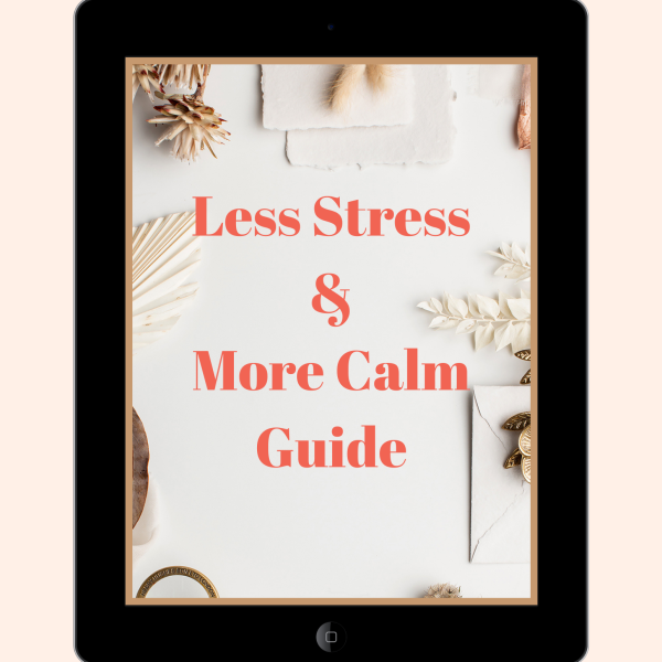 Less Stress and More Calm guide ipad picture